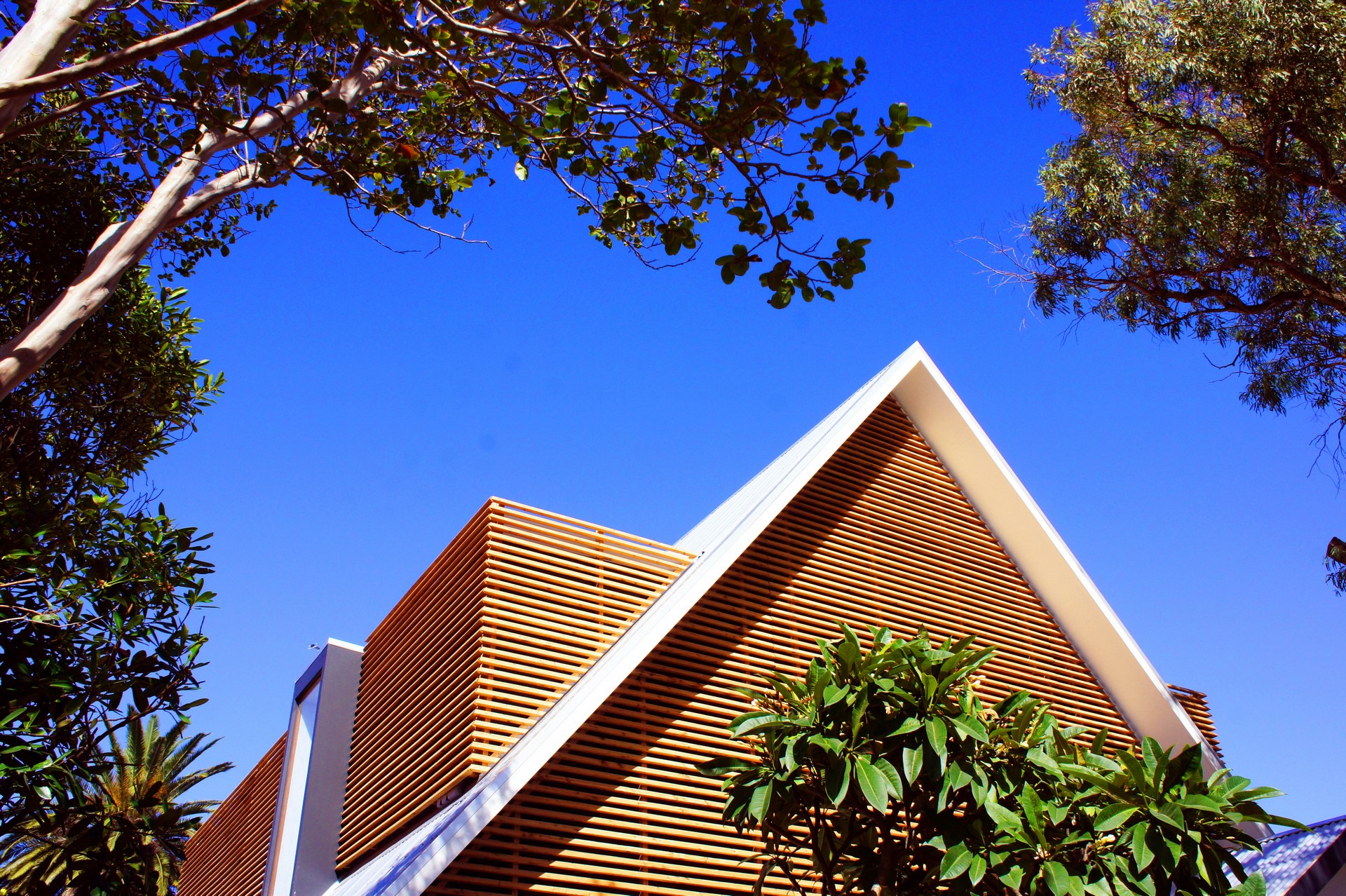 raised-house-with-balcony-in-the-back-of-the-house-cute-and-warm